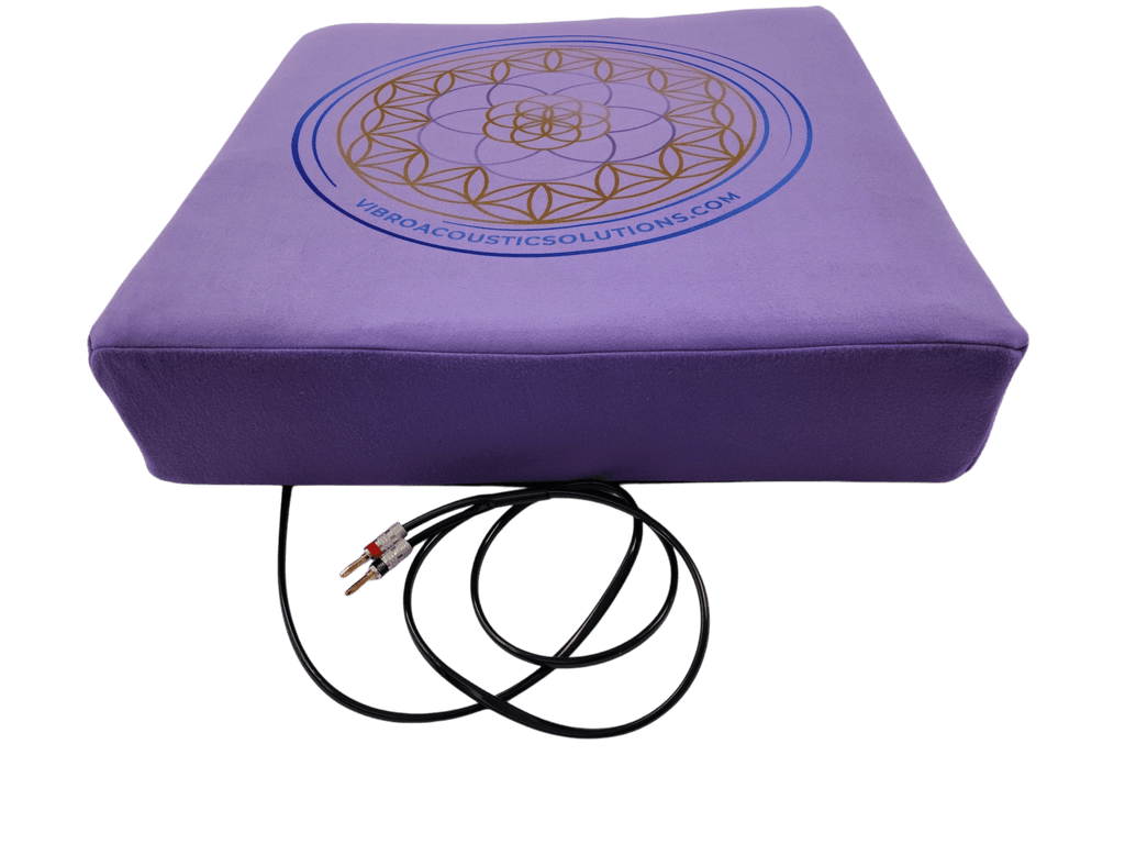 Vibroacoustic Therapy Meditation Cushion bundle with custom amplifier Vibroacoustic Solutions