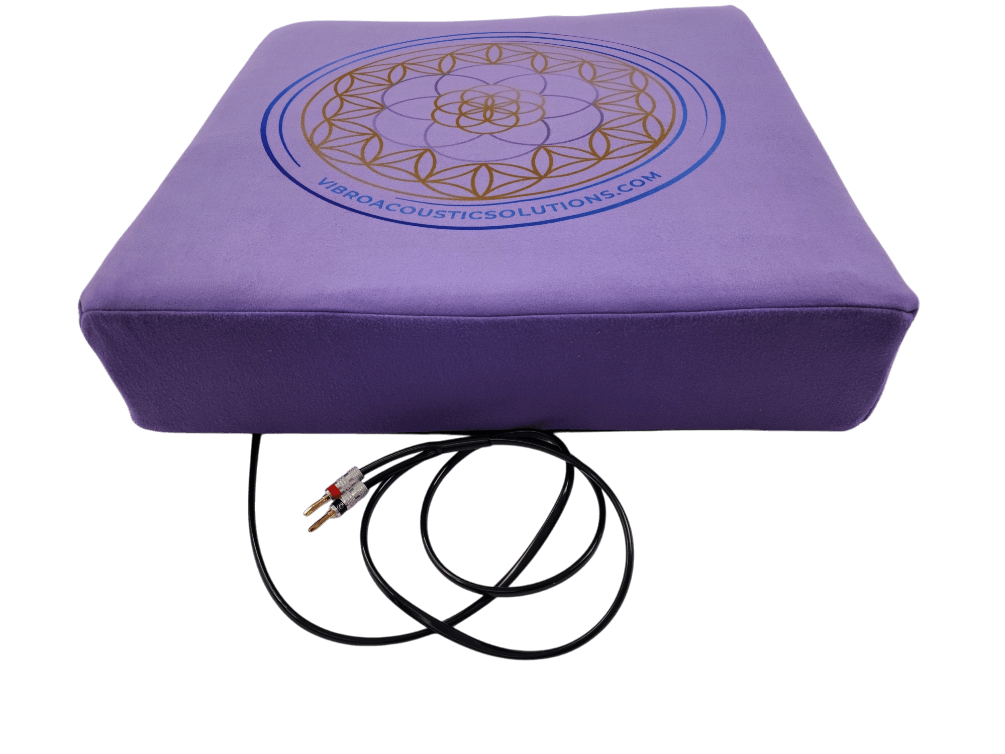 Vibroacoustic Therapy Meditation Cushion bundle with custom amplifier Vibroacoustic Solutions