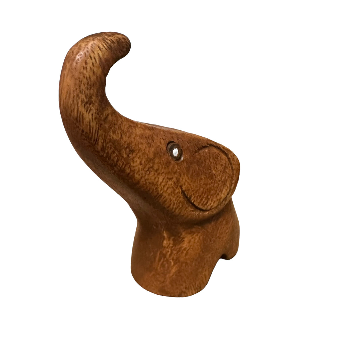 Dark Oak Protecting Elephant Music Frog Co