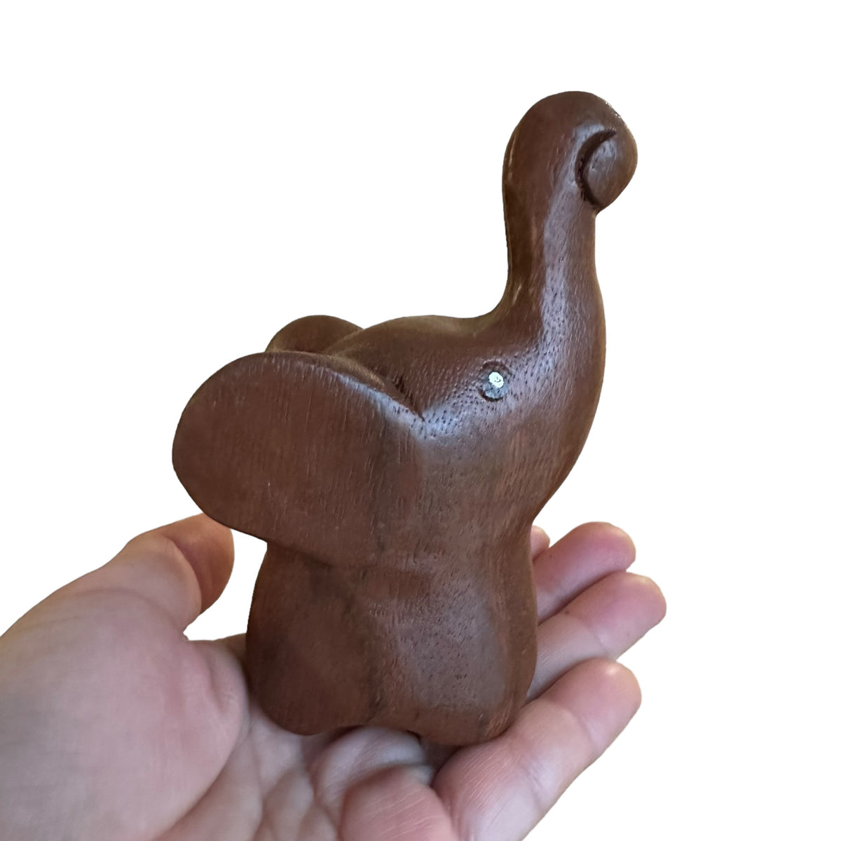 Dark Oak Elephant Wings Ears Music Frog Co