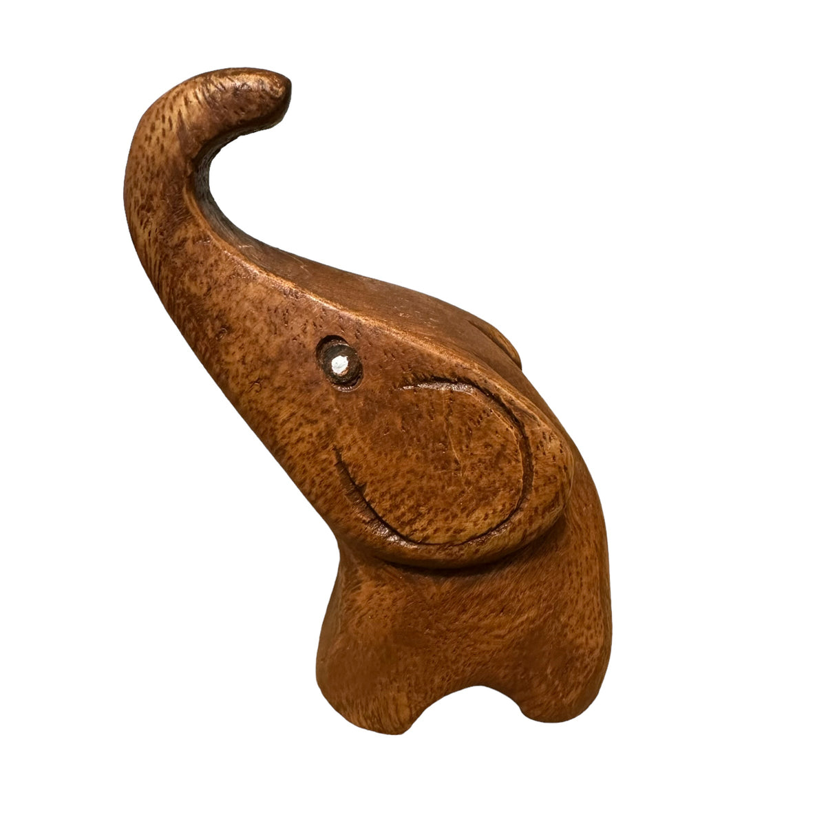Dark Oak Protecting Elephant Music Frog Co