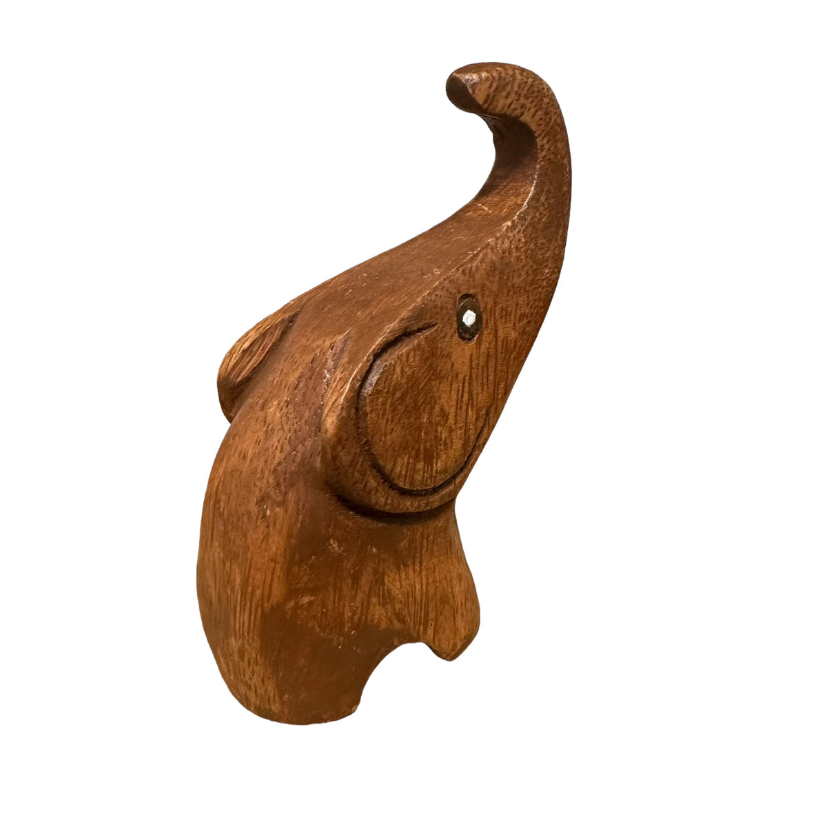 Dark Oak Protecting Elephant Music Frog Co