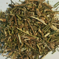 Rue Herb (Ruda) | Protection, Digestive & Circulatory Support NYC Herbs®