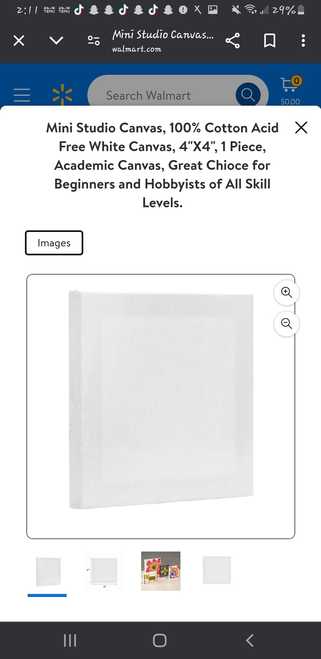 Mini Canvas