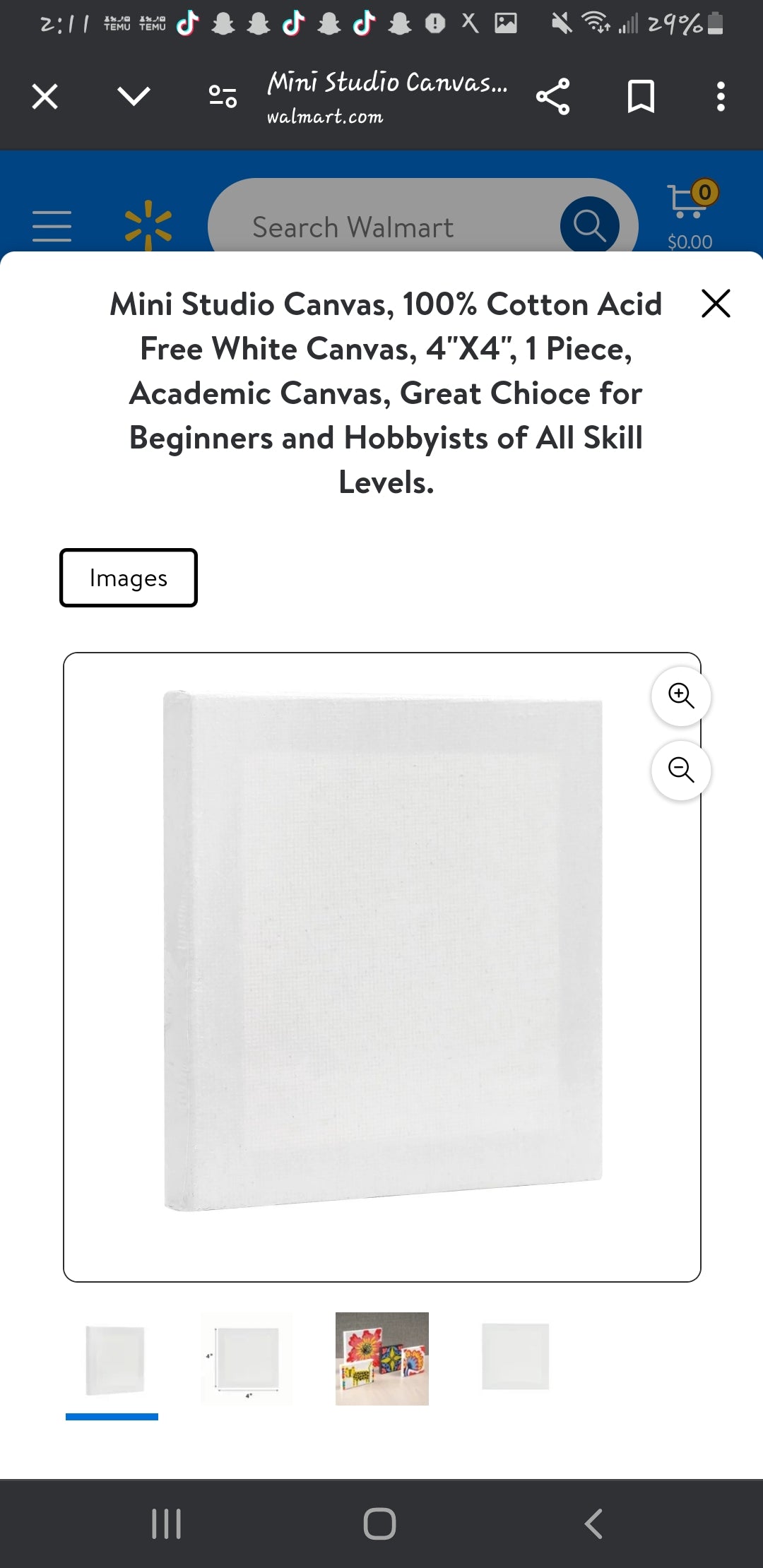 Mini Canvas