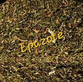 Epazote | Digestive Cleanser & Parasite Support NYC Herbs®