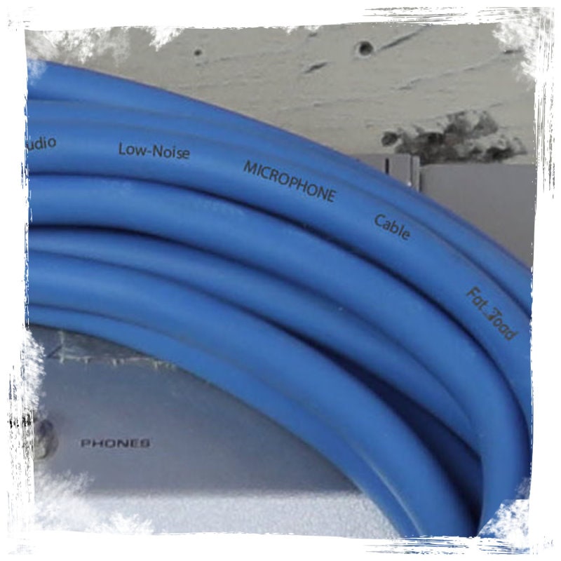 Speakon to 1/4" Male Cables (2 Pack) by FAT TOAD - 25 ft Professional Pro Audio Blue DJ Speaker PA Cord with Twist Lock Connector - 12 AWG Wire GeekStands.com