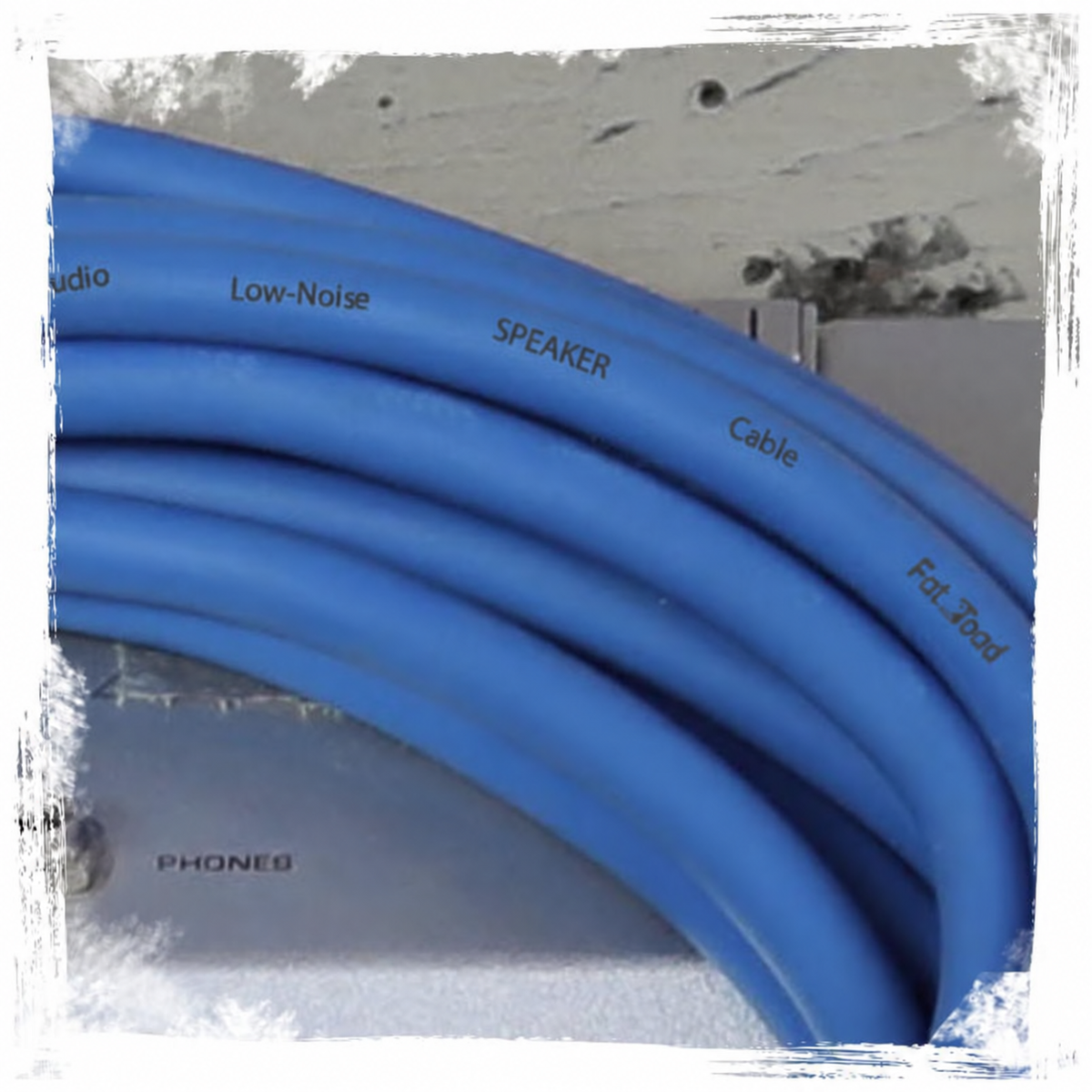 Speakon to 1/4" Male Cables (2 Pack) by FAT TOAD - 25 ft Professional Pro Audio Blue DJ Speaker PA Cord with Twist Lock Connector - 12 AWG Wire GeekStands.com