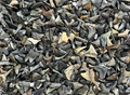 Shark Tooth Wholesale Lot of 25 Partial Teeth Bull, Hammerhead, Lemon, Mako rocksolidfossils