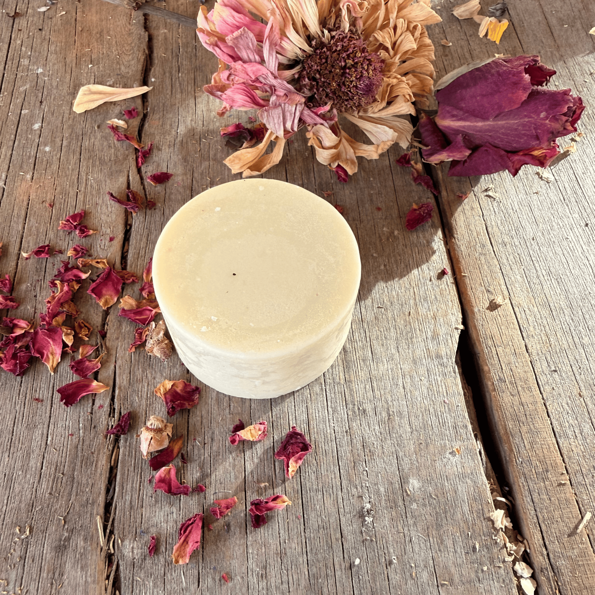CONDITIONER BAR | SHEA BUTTER & OLIVE OIL Tallow Skin Co.