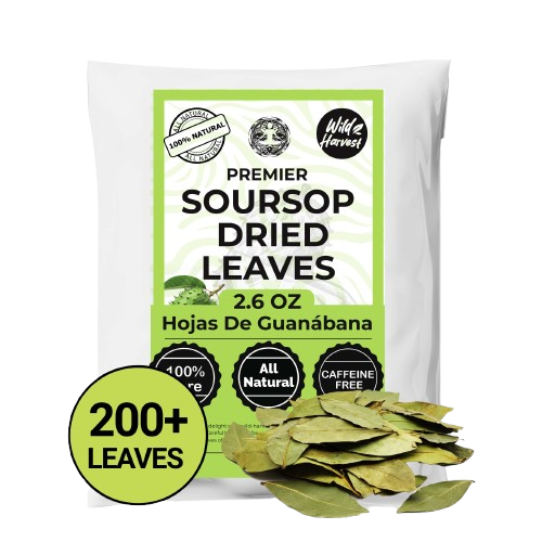 200+ Whole Dried Soursop Leaves – 2.6 oz , 100% Natural Soursop Tea (Graviola Leaves), Caffeine-Free Herbal Tea (Hoja Guanabana) Akshit