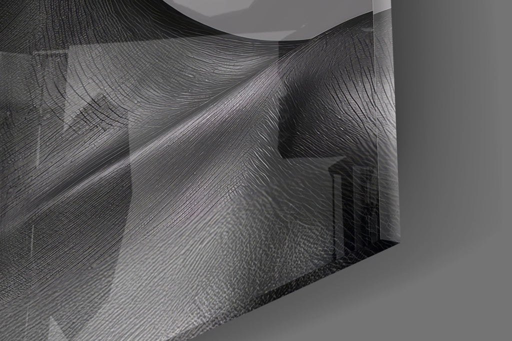 Faces of Colors Glass Wall Art || Designer Collection Insigneart USA