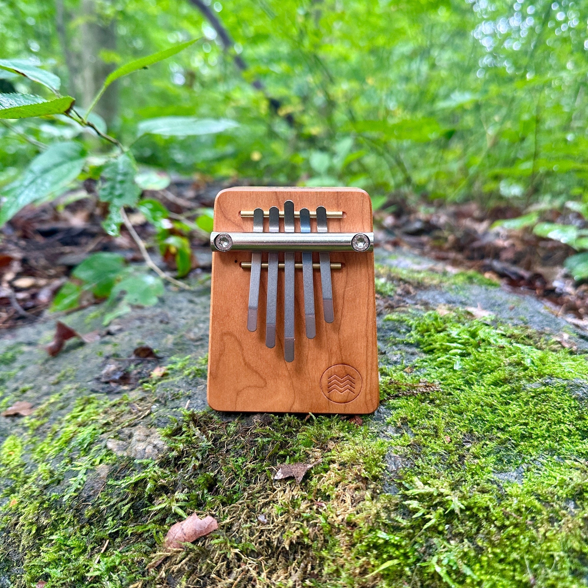 HOKEMA B5 Pocket Kalimba Elemental Soundscape Tuning WePlayWellTogether