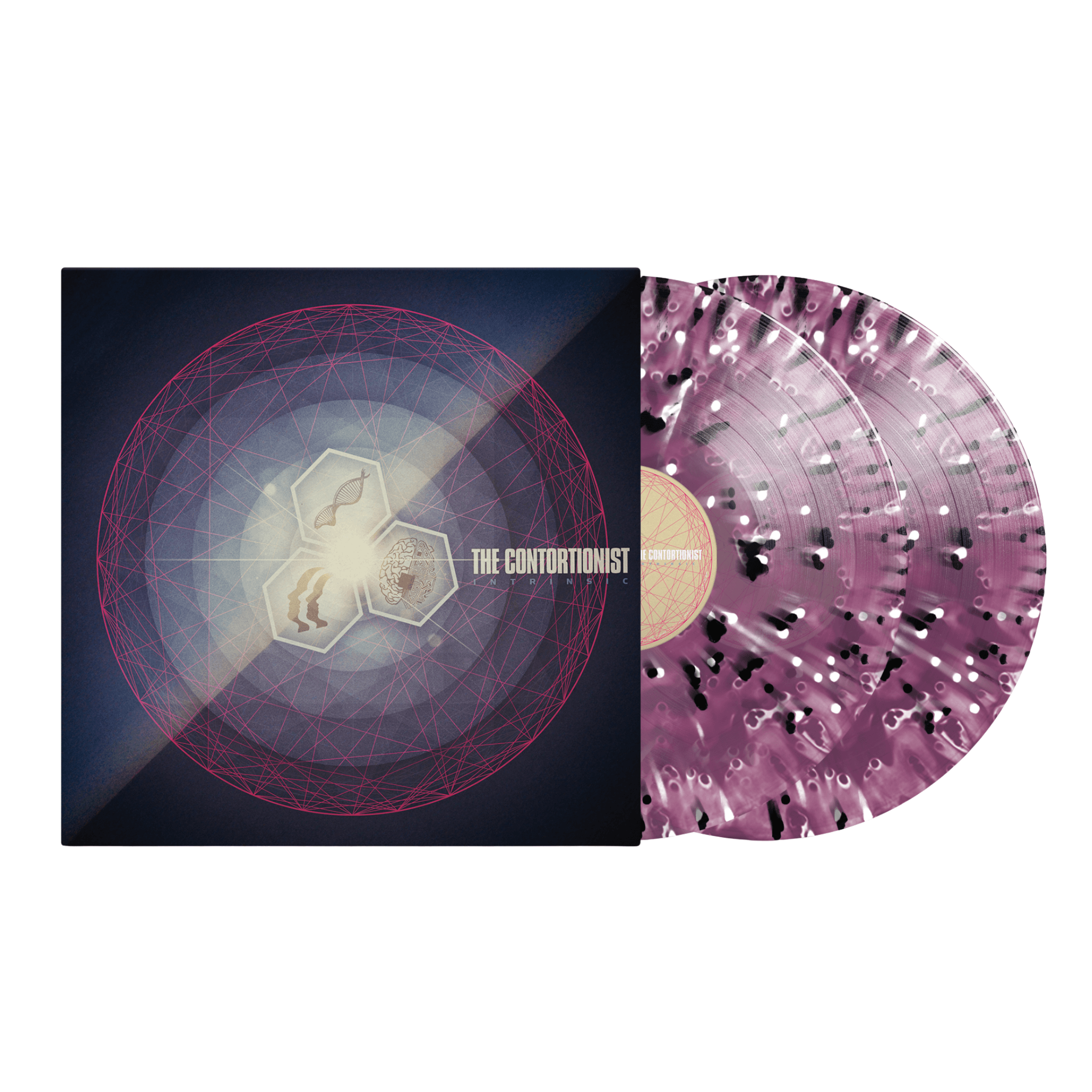 The Contortionist - Intrinsic Grape Ghost Splatter Vinyl MNRK Heavy