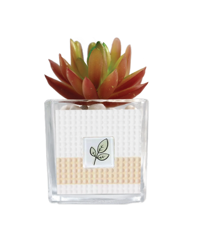 Diamond Art Plant Kit Colours Crafts