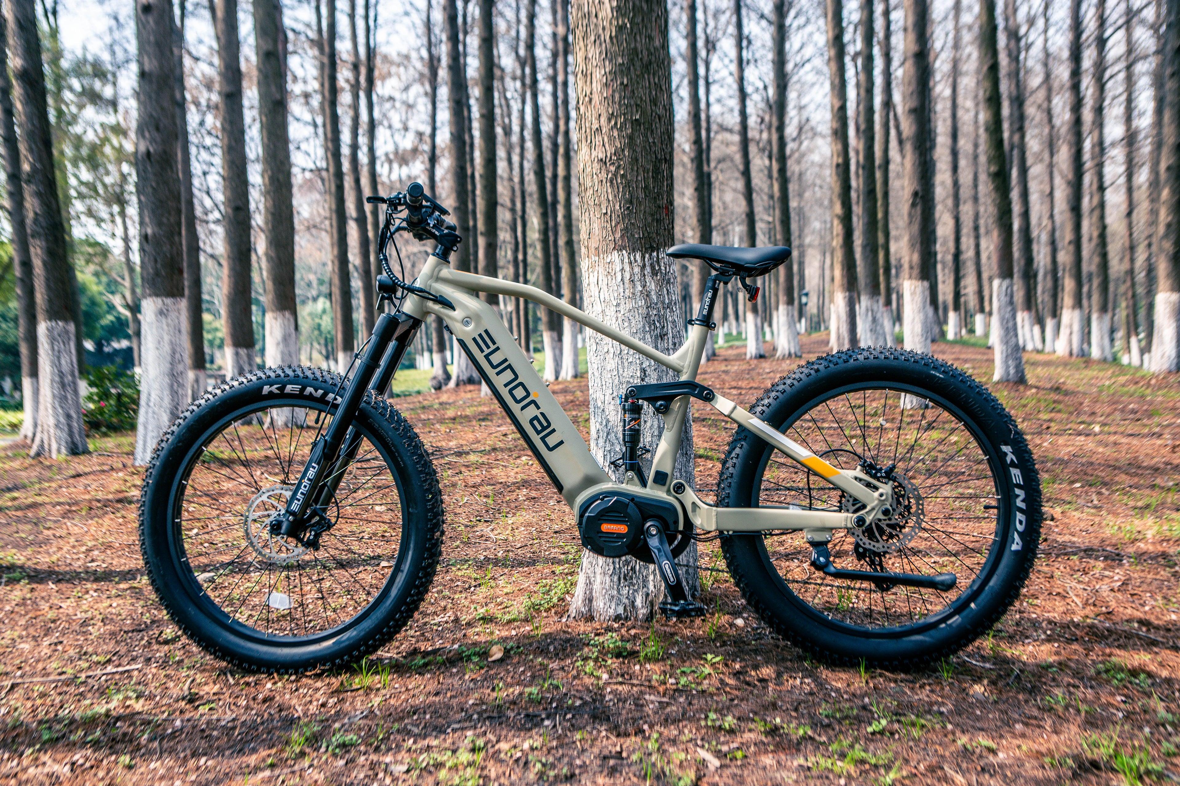 SPECTER-S 3.0 / Hunter X9 EUNORAU E-BIKE US