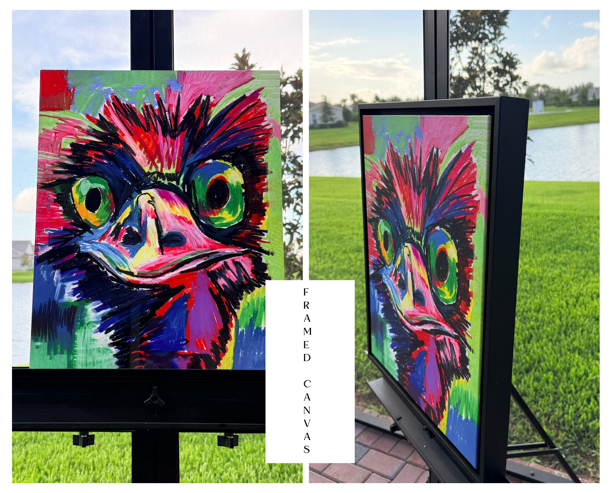 Meerkat - Art Prints Vichy's Art