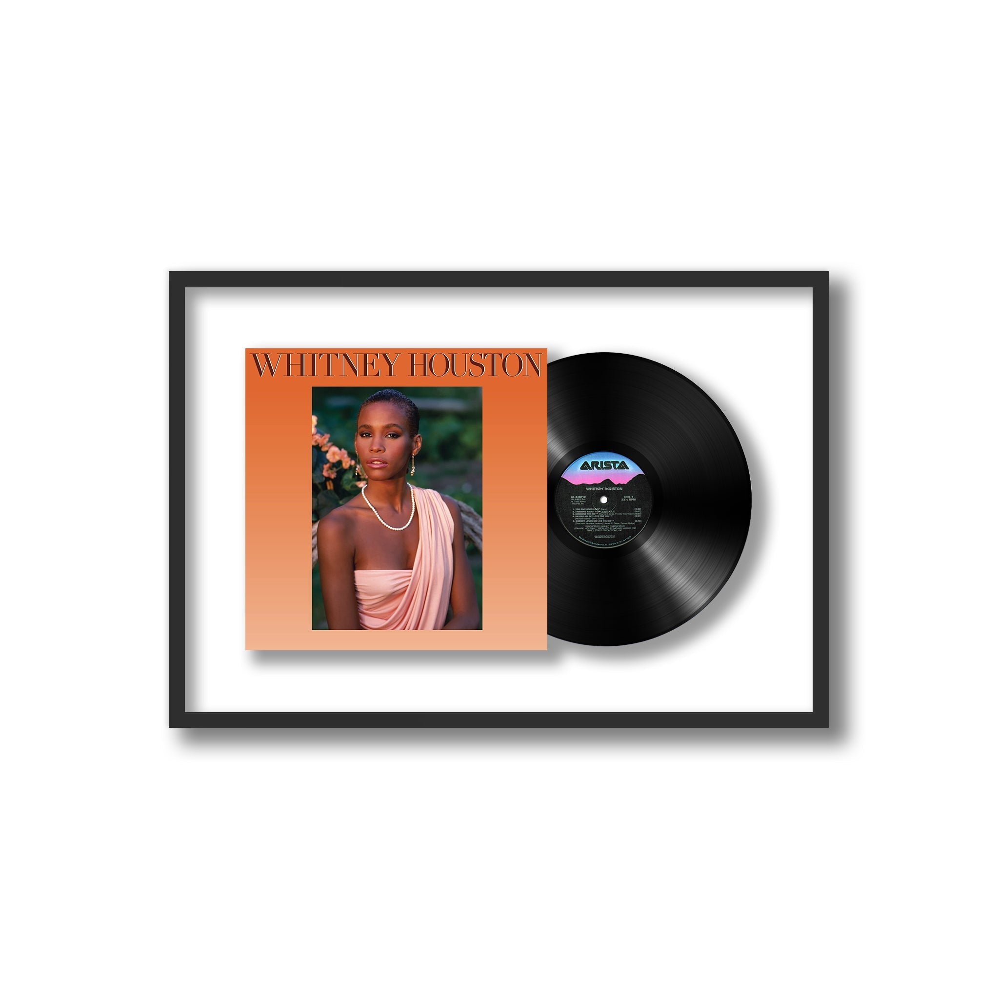 Whitney Houston Harvest Art Gallery