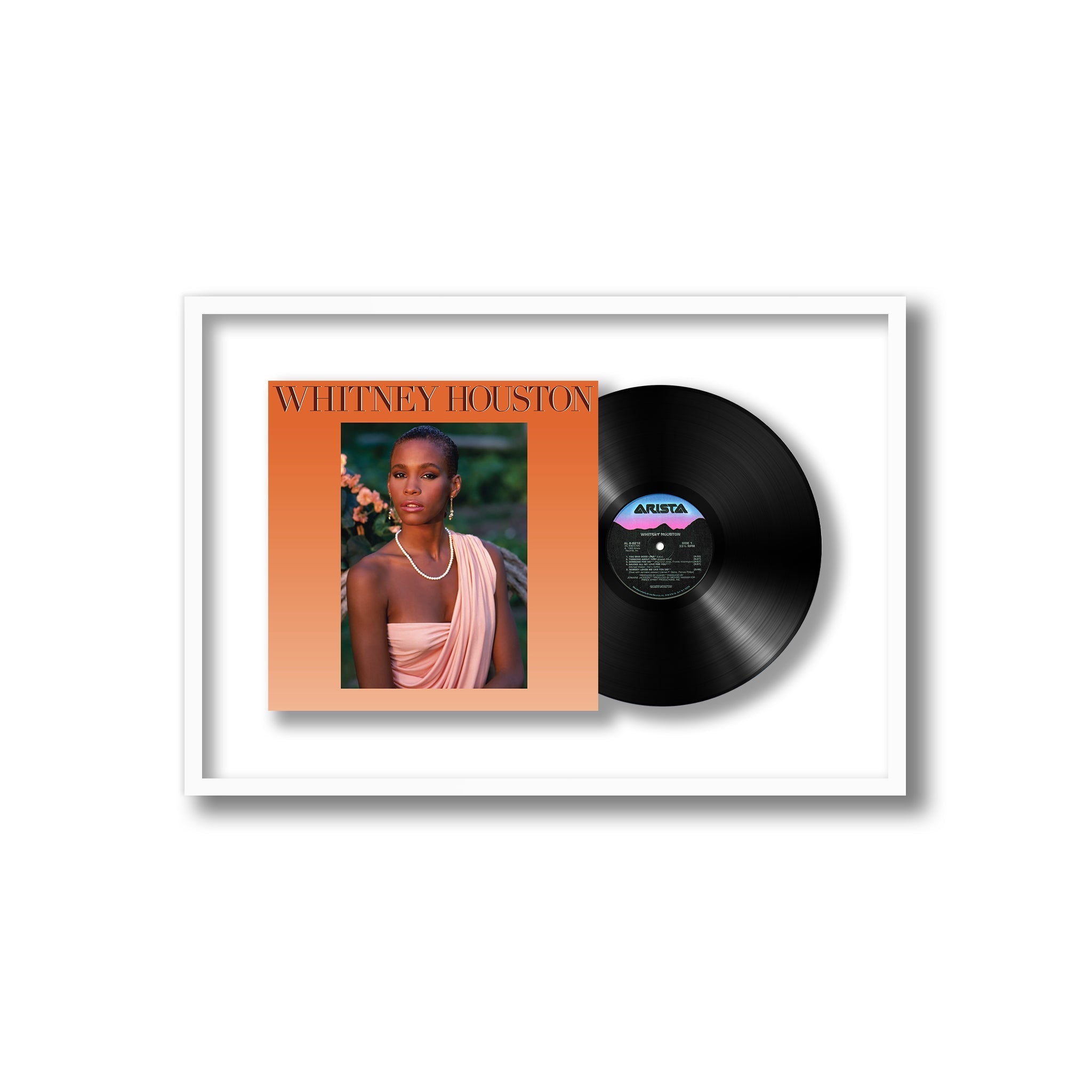 Whitney Houston Harvest Art Gallery