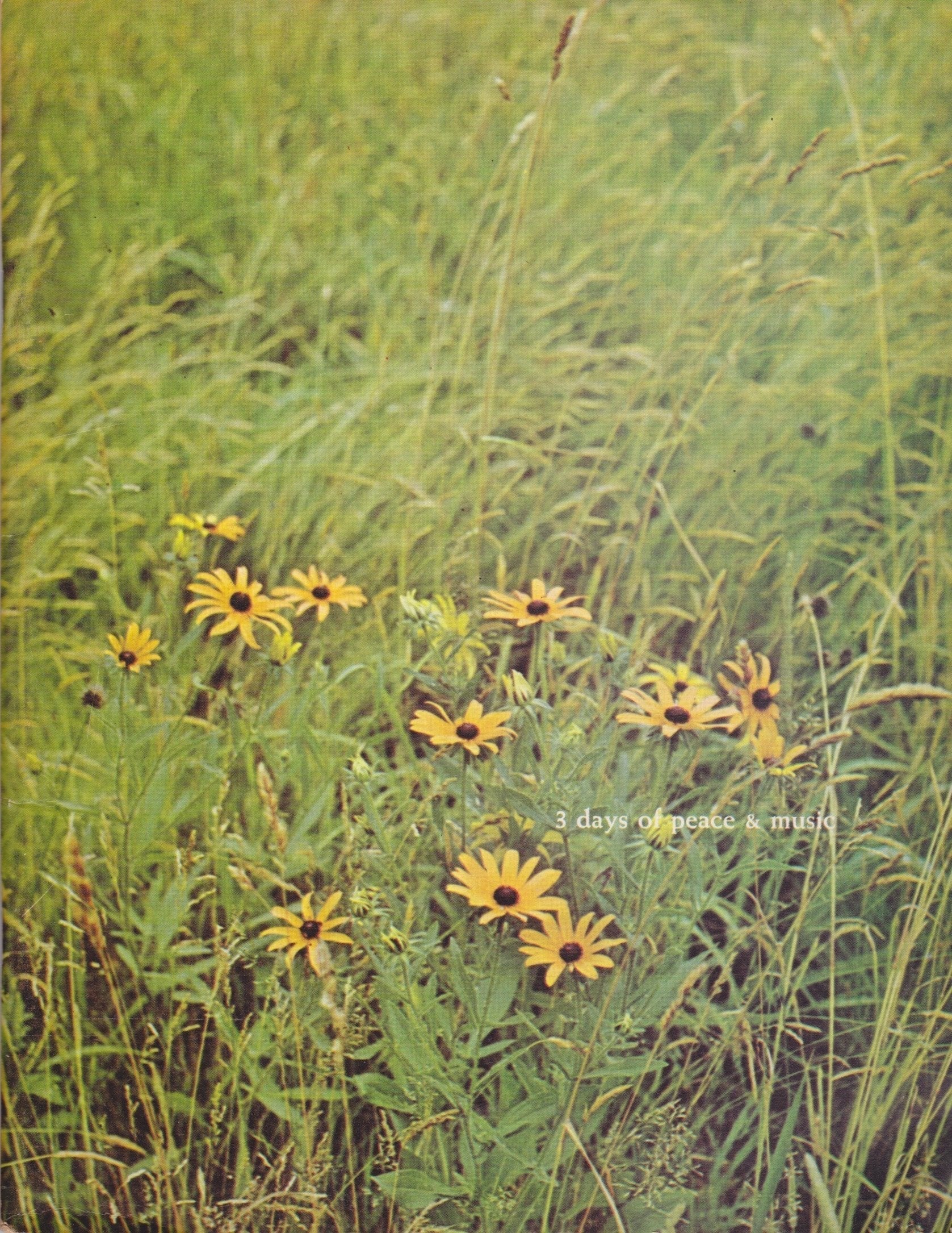Original 1969 Woodstock Festival Concert Program Peace Of Stage LLC