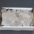 Clear Quartz Crystal Points Boxed Flat Bulk Wholesale Crystal Gemstones Supply Amazing Crystals