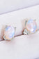 Natural Moonstone 4-Prong Stud Earrings