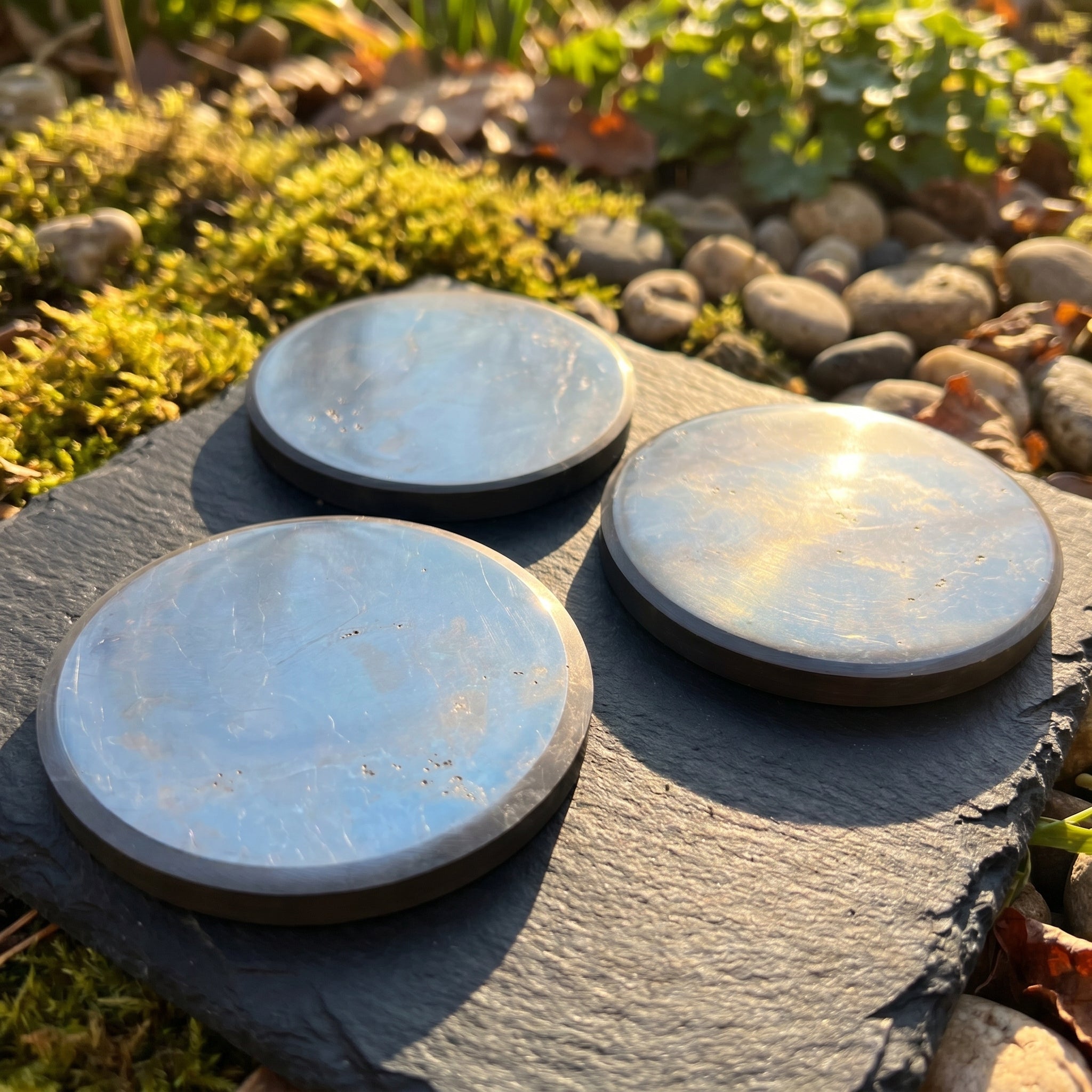 Black Shungite Polished Coaster Carving (3.5 Inch) Amazing Crystals