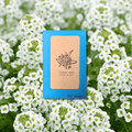 Alyssum Seeds Plantflix