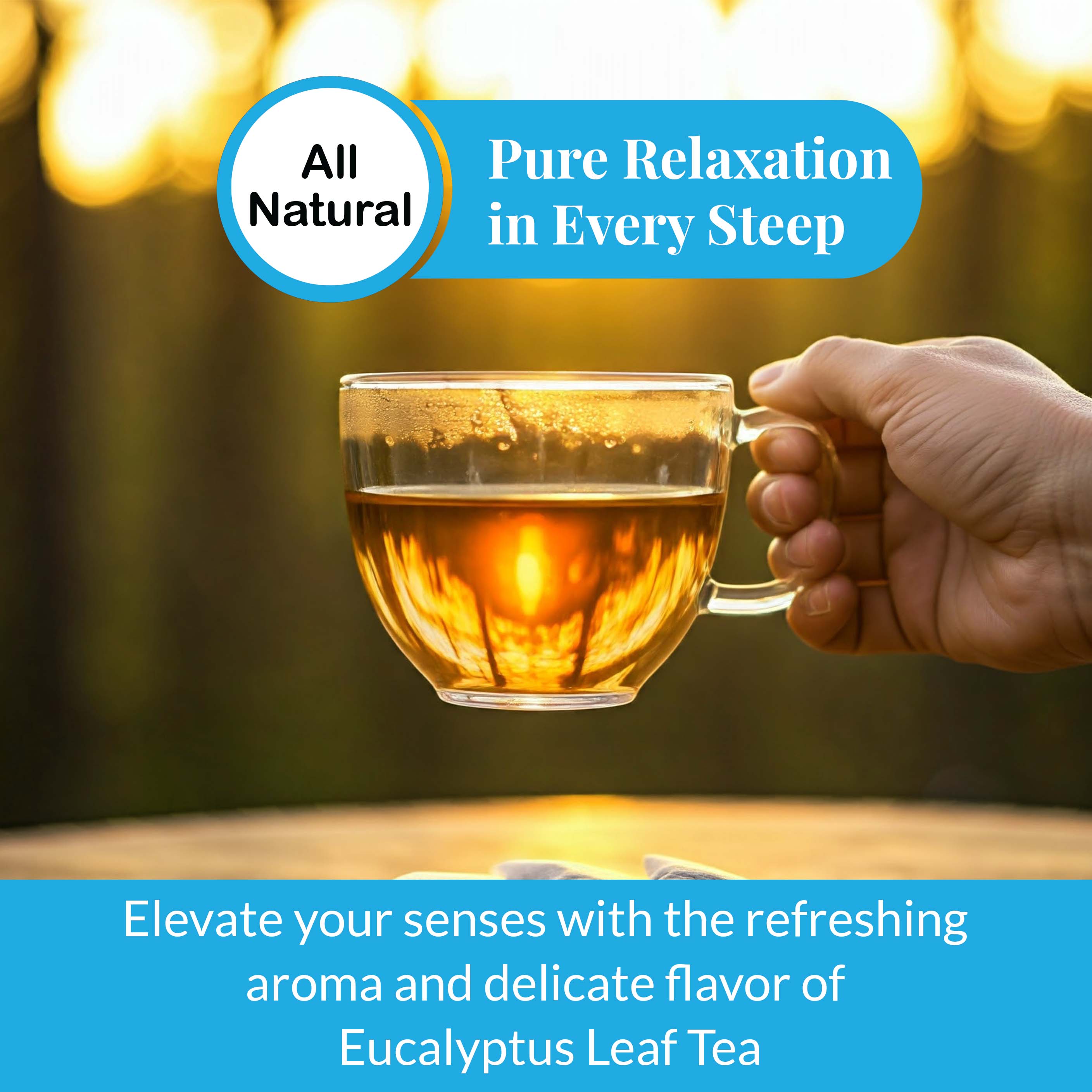 Eucalyptus Tea Bags 50 Count | Akshar Herbs Akshit