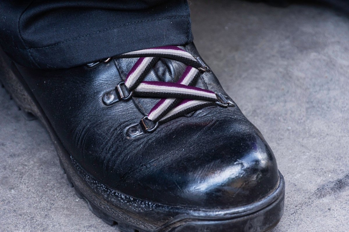 Asexual Flag Shoe Laces (1 Pair) The Awareness Company