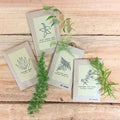 "Asparagus Fern" Houseplant Seed Collection Plantflix