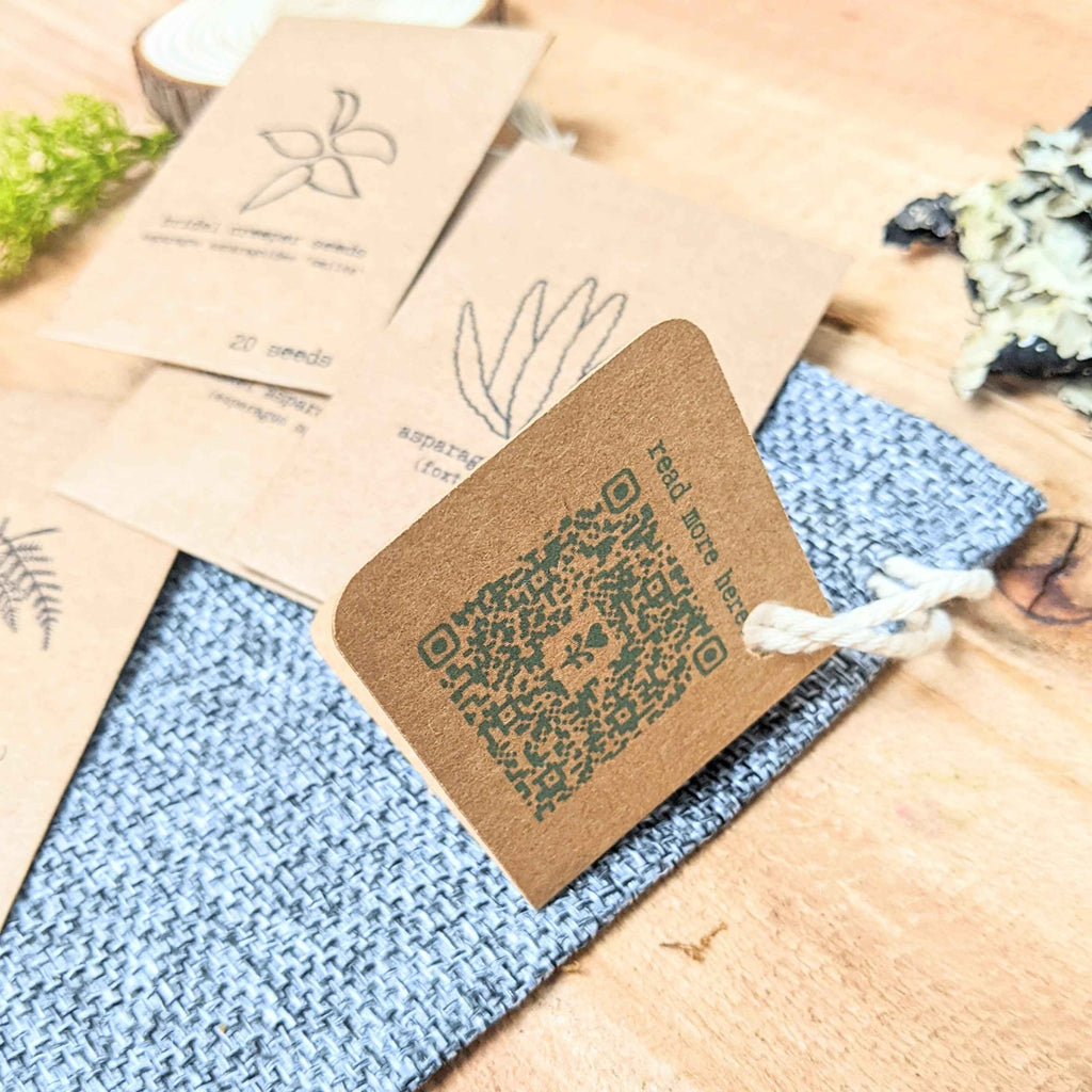 "Asparagus Fern" Houseplant Seed Collection Plantflix