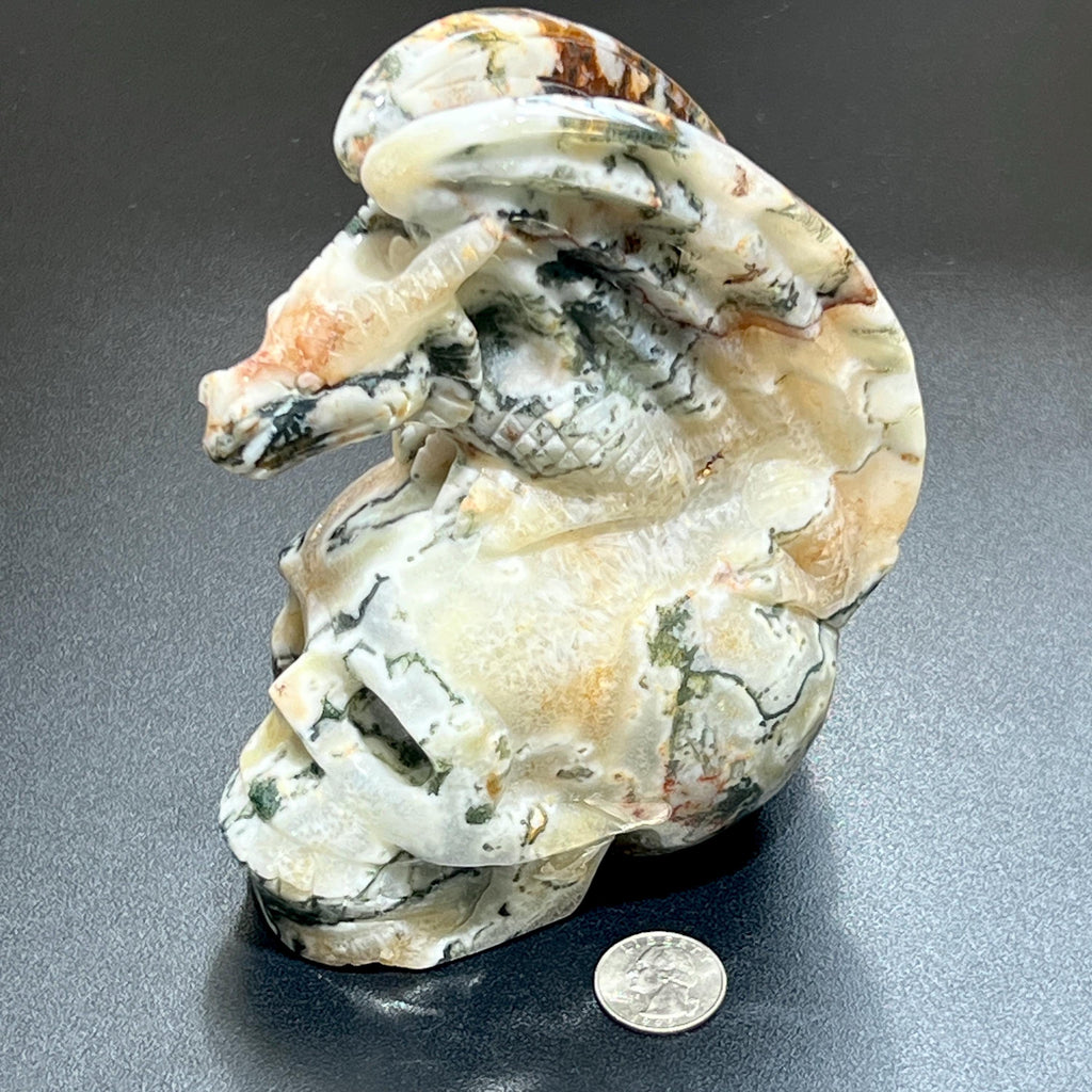 Large Skull and Dragon Carving Red Moss Agate Select Wholesale Amazing Crystals