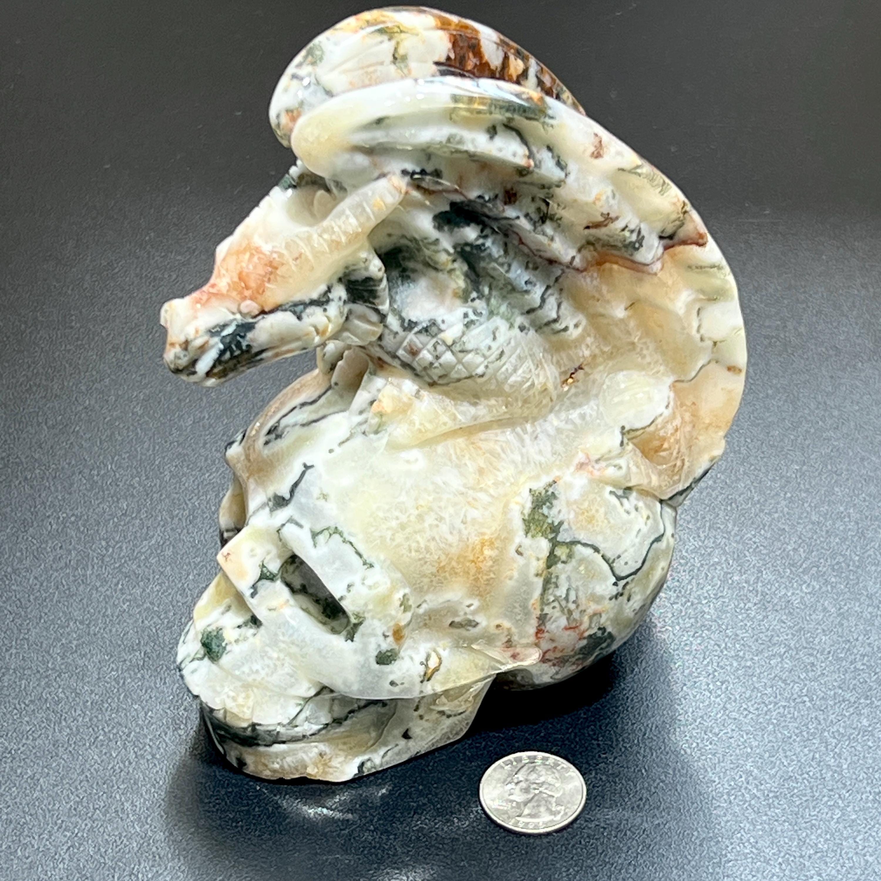 Large Skull and Dragon Carving Red Moss Agate Select Wholesale Amazing Crystals