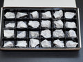 White Howlite Rough Raw Stones (24 Pcs) Boxed Flat Amazing Crystals