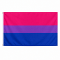 Bisexual 3 Feet by 5 Feet Nylon Flag The Awareness Company