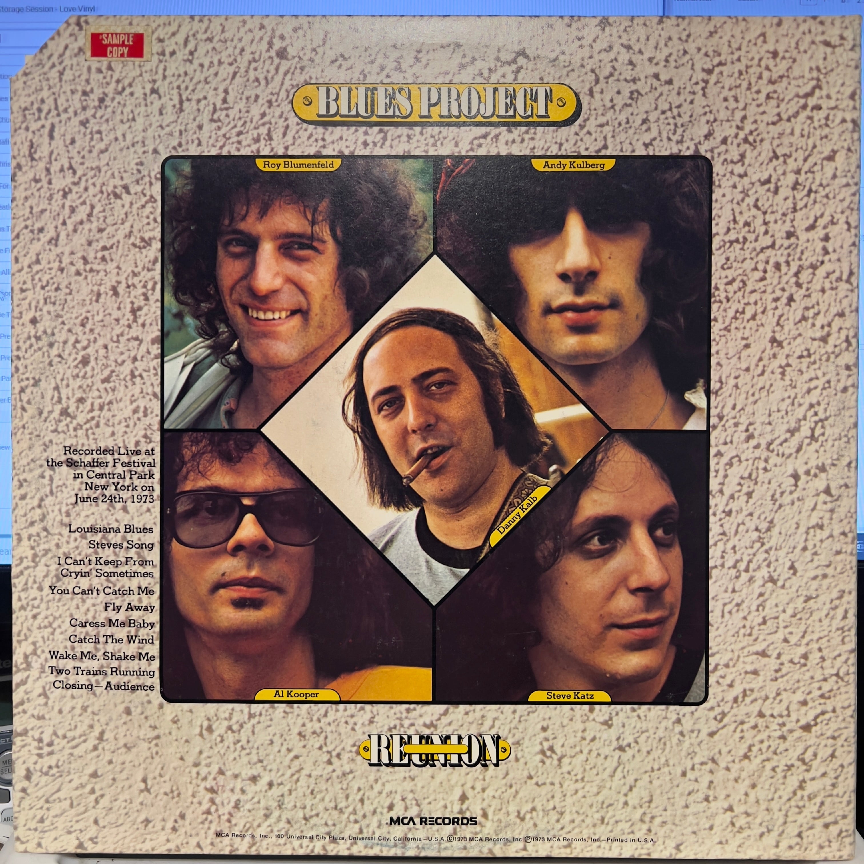 The Blues Project - Reunion In Central Park | Near Mint (NM) Near Mint (NM) Love Vinyl Records