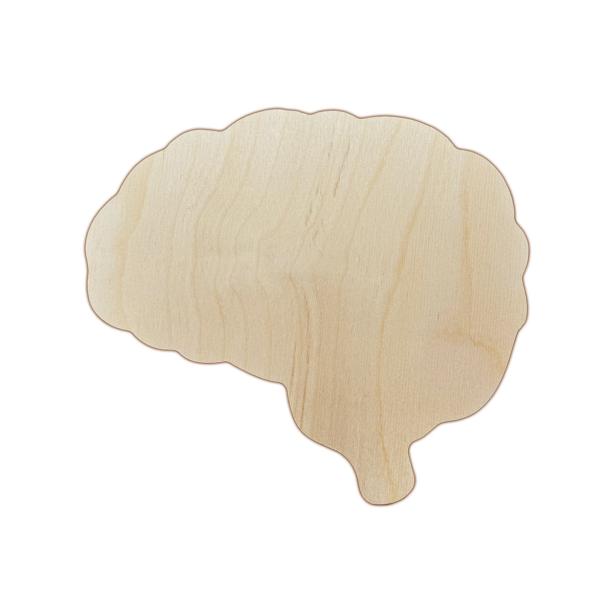 Trekell Brain Panel - Wooden Halloween Canvas Trekell Art Supplies
