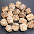 Brown Banded Aragonite Tumbled Stones (By The Piece Or Pound) Amazing Crystals