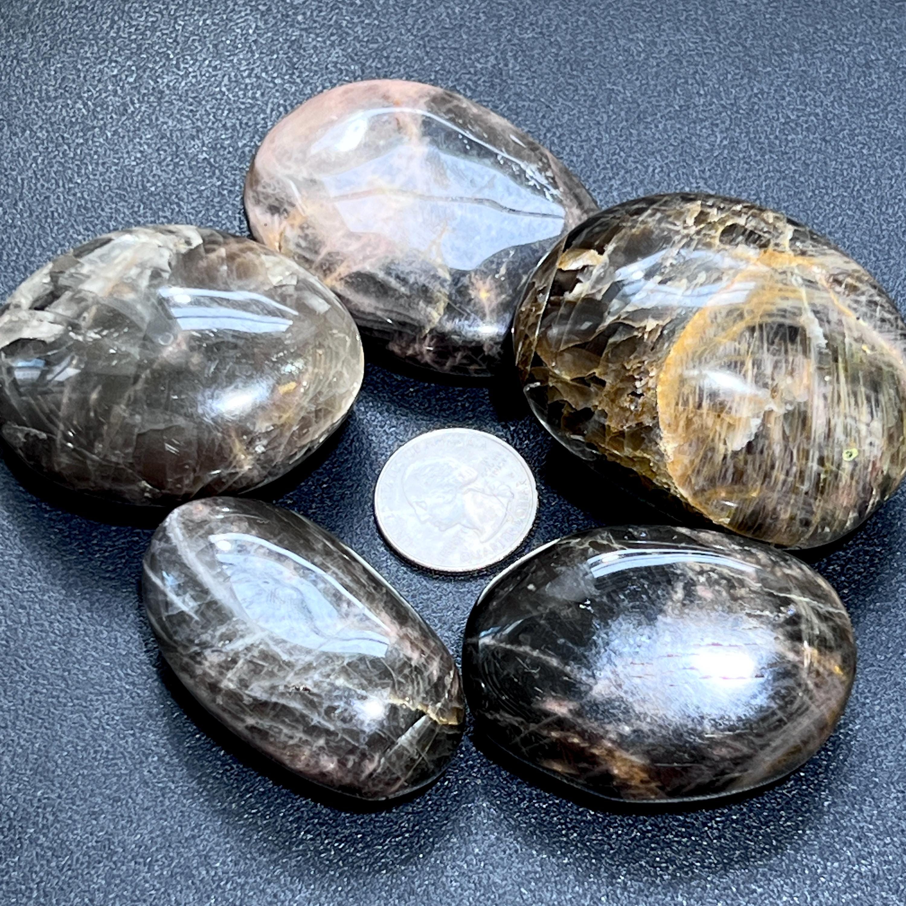 Black Moonstone Palm Stone Carving Gemstone Decor Supply Amazing Crystals
