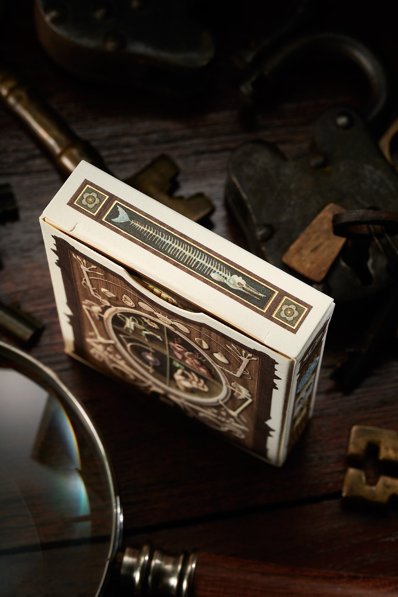 Cabinetarium Playing Cards Art of Play