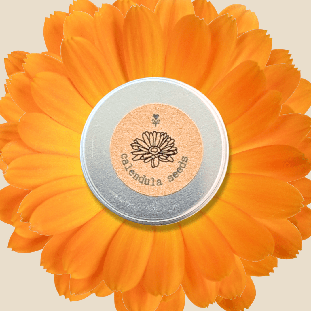 Calendula Seeds Plantflix