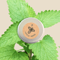 Catnip Seeds Plantflix