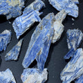 Blue Kyanite Large Crystal (By The Piece Or 1 LB) Rough Raw Clusters In Matrix Bulk Wholesale Amazing Crystals