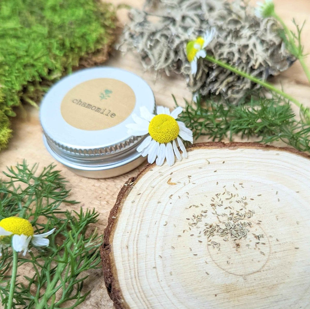 Chamomile Seeds Plantflix