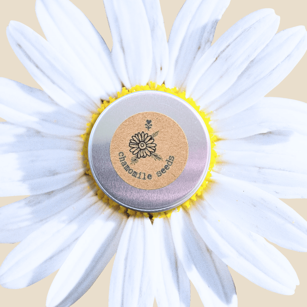 Chamomile Seeds Plantflix