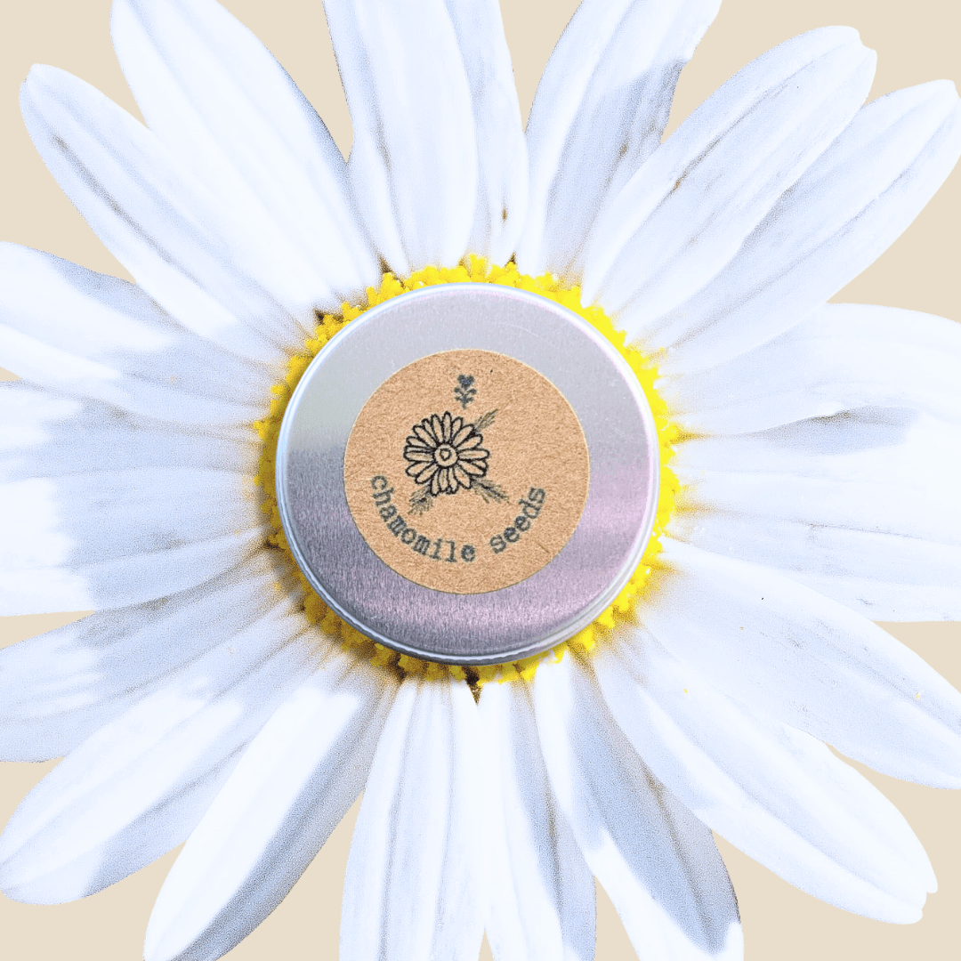 Chamomile Seeds Plantflix