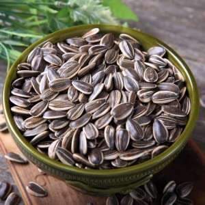 Cherry Chocolate Sunflower Seeds – Vibrant Garden Blooms organicindiaseeds