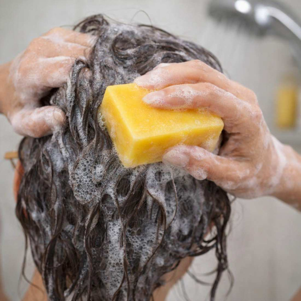 Citrus Shampoo Bar Shave Essentials
