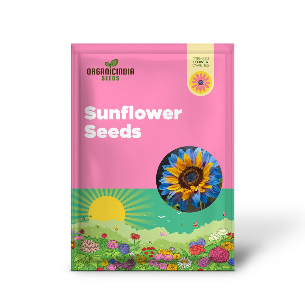 Yellow Blue Blooms to Your Garden, Planting Guide for Yellow Blue Sunflower Seeds organicindiaseeds